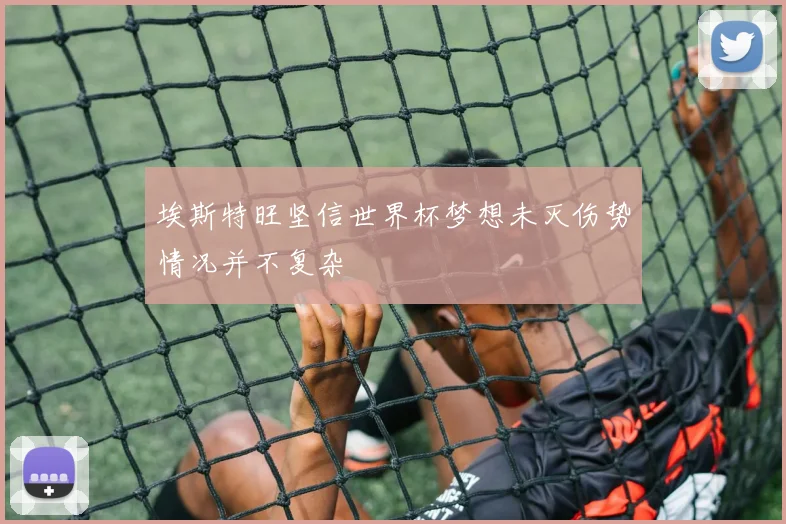 埃斯特旺坚信世界杯梦想未灭伤势情况并不复杂