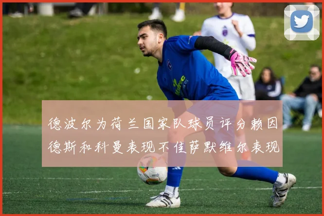 德波尔为荷兰国家队球员评分赖因德斯和科曼表现不佳萨默维尔表现最佳